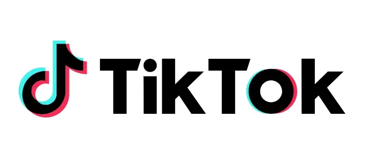 TikTokの特徴