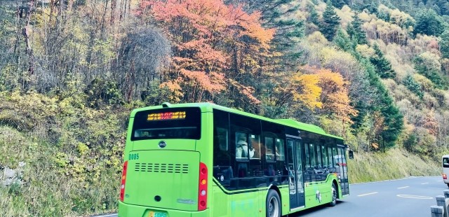 【おすすめ②】安さが魅力！路線バス(877番)での行き方